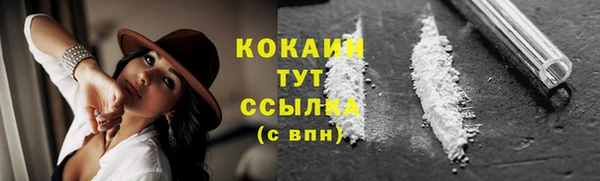 тгк Магас