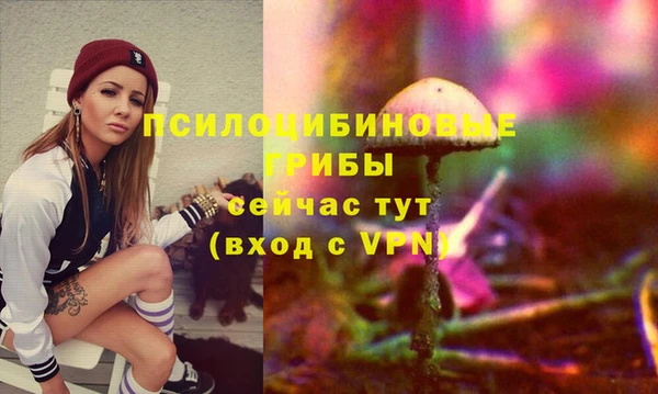 тгк Магас