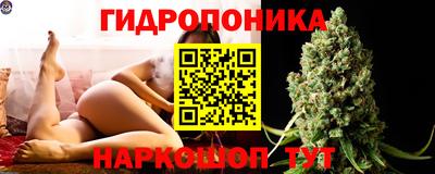 spice Бийск