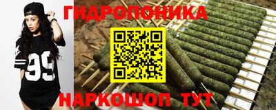 spice Бийск