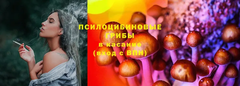 Галлюциногенные грибы MAGIC MUSHROOMS  магазин  наркотиков  Владимир 