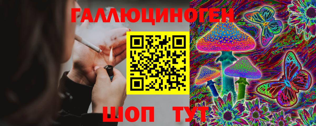 где продают наркотики  Владимир  Псилоцибиновые грибы мухоморы 