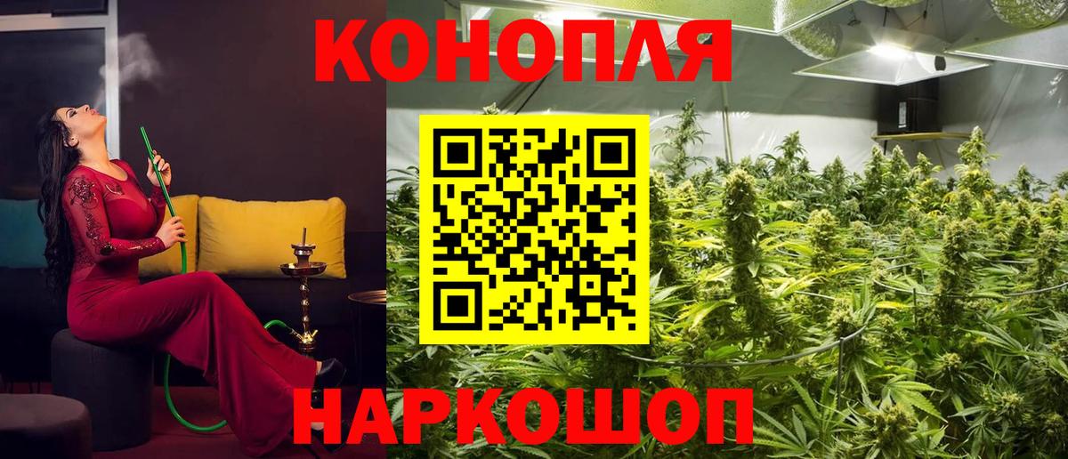 Каннабис OG Kush Владимир